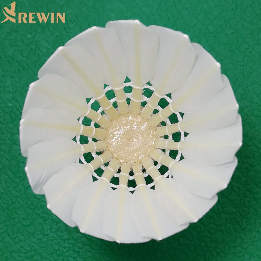 Training badminton shuttlecock C20