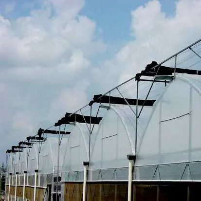 Economical Poly tunnel Plastic Film Agricultural Greenhouse Morocco for Vegetable Planting