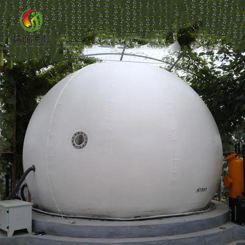 
biogas plant complete set equipments 