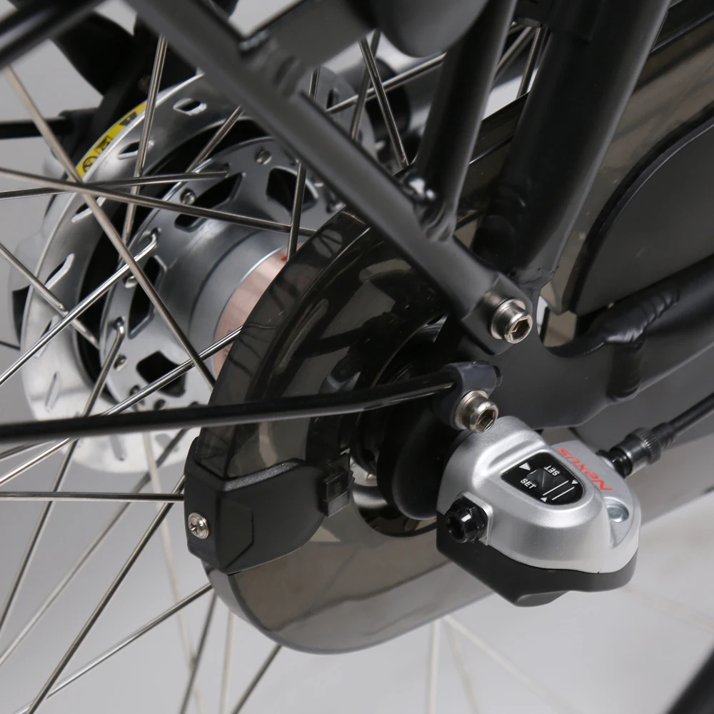 TXED Retro 250W cargo bike 2 wheel city e bicycle for women