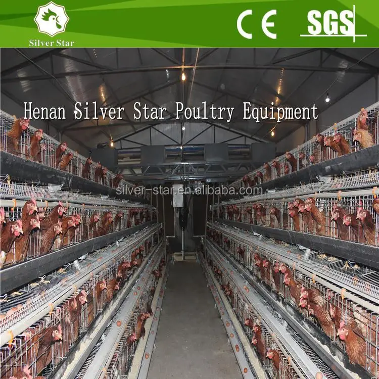 Wire mesh for chicken coop/China poultry coop