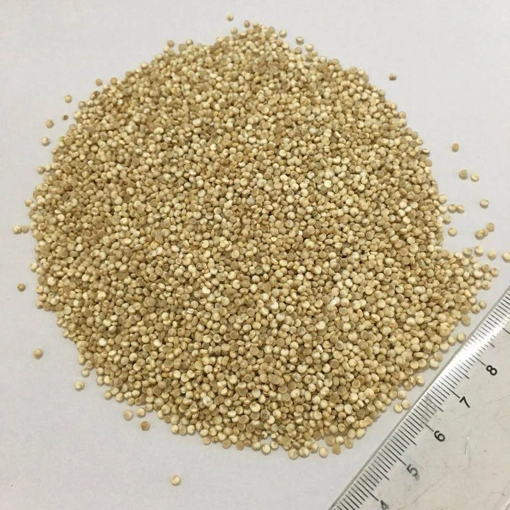 Yanzhifang Wholese Best Quinoa