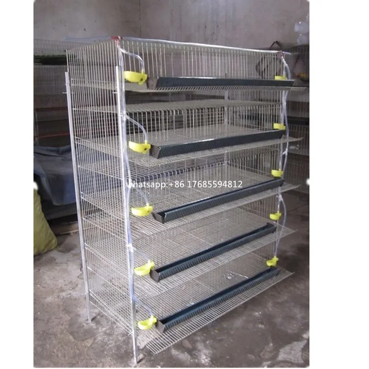 Cheap Galvanized Design Layer Quail Cage for Poultry Farm Sale