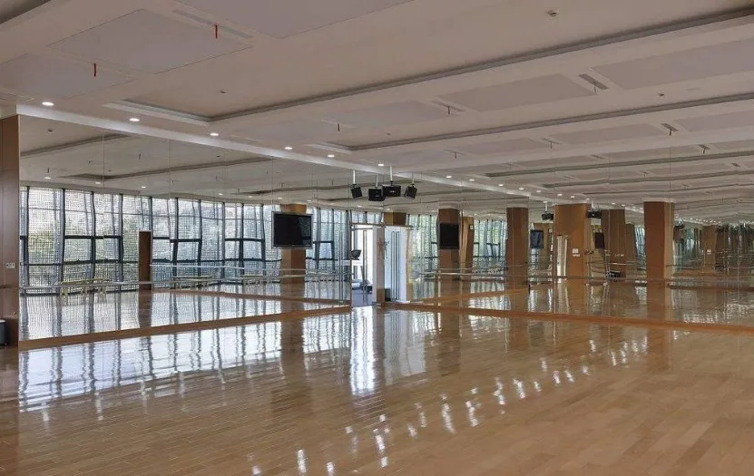 Custom made full length wall mirror for gym Large mirror gymnastics large area yoga mirror