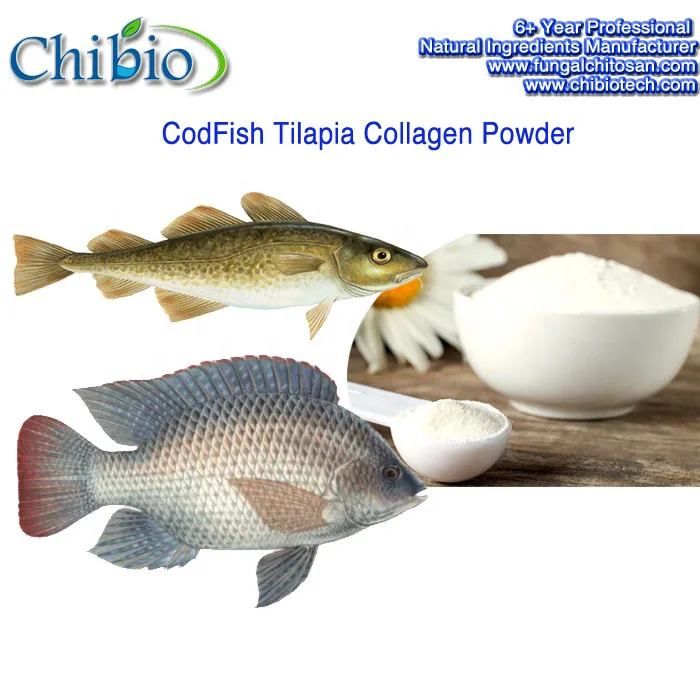 
98% 1500Da Fish Collagen Codfish Tilapia for Building Strong Bones 