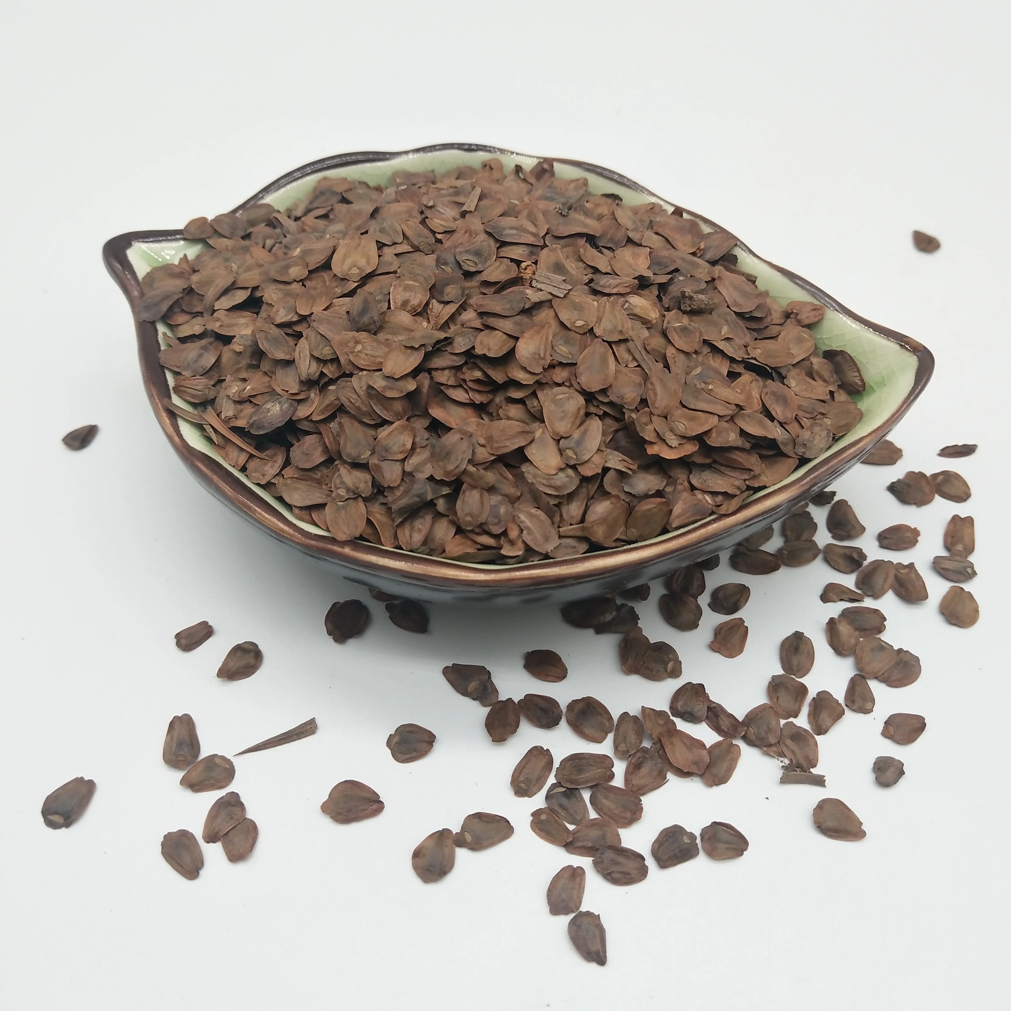 
S301 Competitive price Ornamentel Araucaria plant seeds without shell 