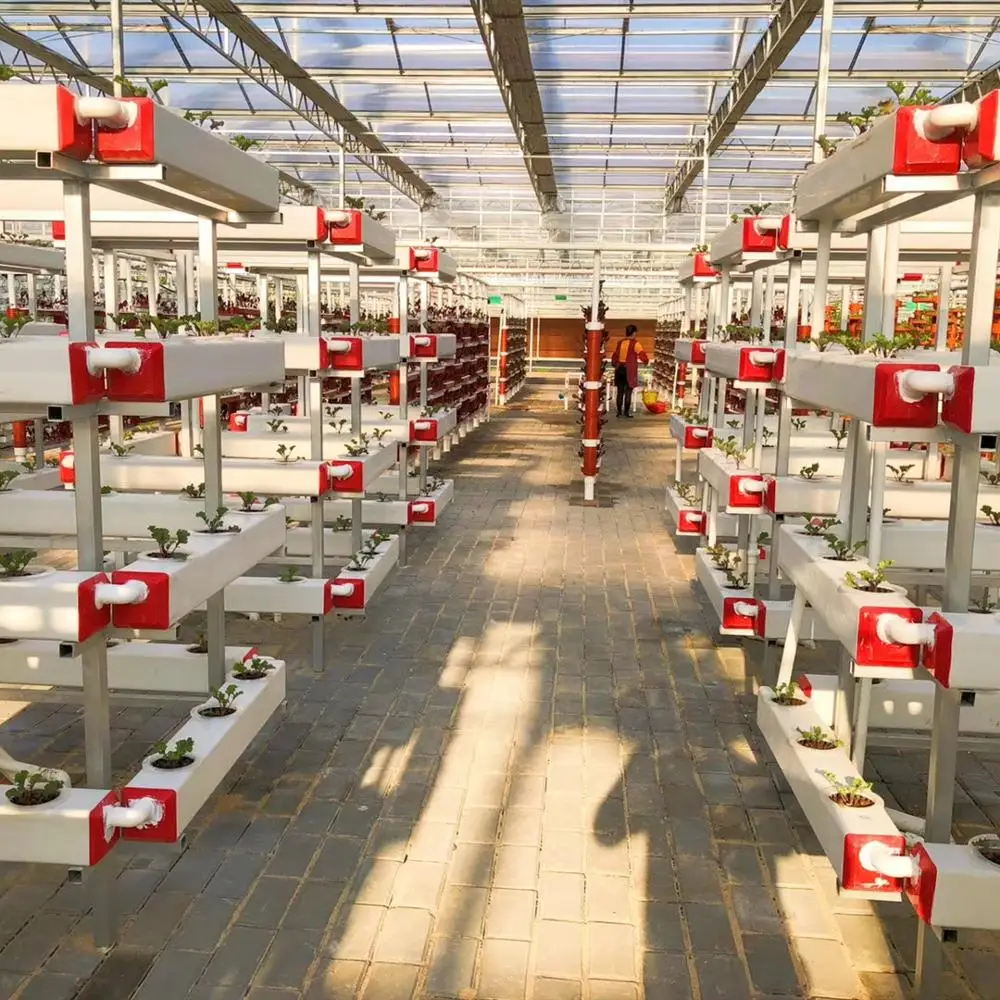 Top Quality Polychannel Glass Greenhouse for Hydroponic Products/Seed Breeding Cultivation