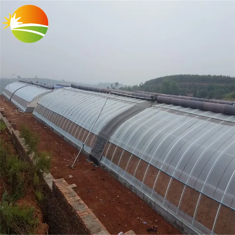 excellent quality mini greenhouse small tunnel greenhouse