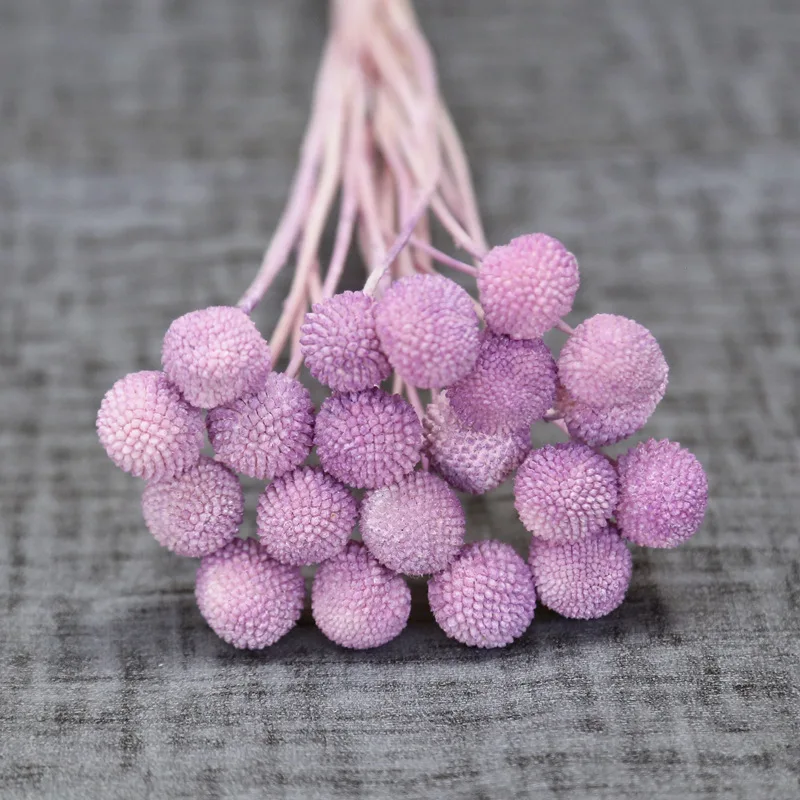 Preserved Flower Craspedia Wholesale Preserved Foliage Preserved billy ball