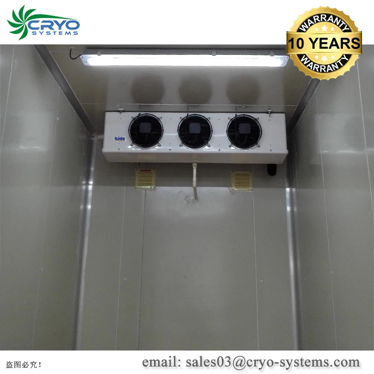 Cold cream freezer cold refrigerator storage cold room for sale