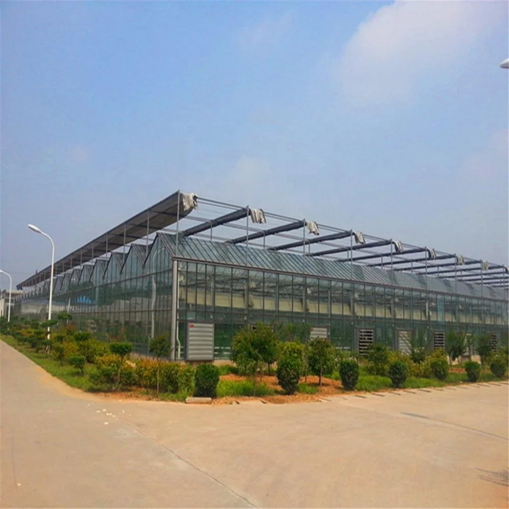 
Photovoltaic Multi-Span Glass Panels Covered Grow Tent Walk In Agriculture Greenhouses 