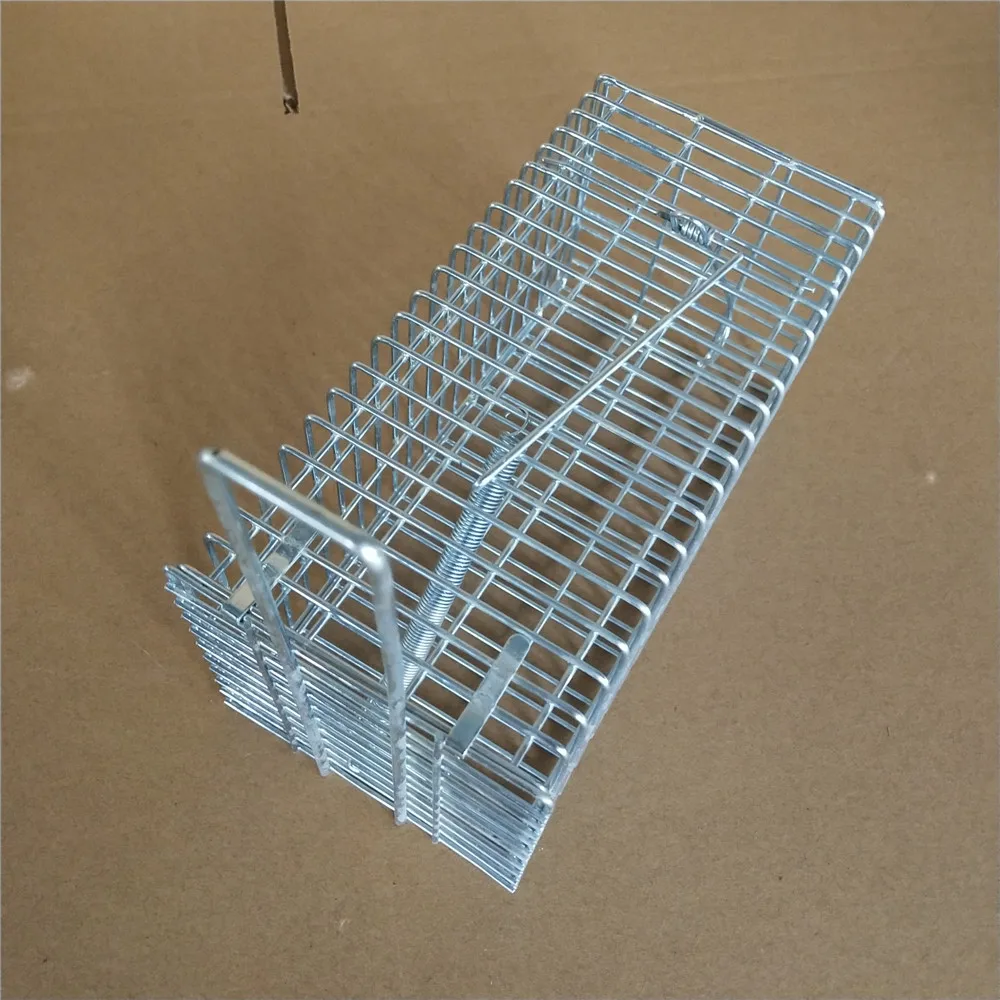 Chinese black Powder Coating Rabbit Cage trap