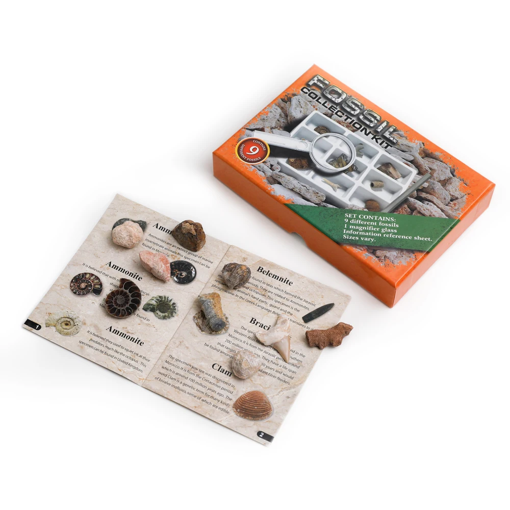 Yase promotional gift box fossil collection kit wholesale fossil collection set kids toys old fossil produce