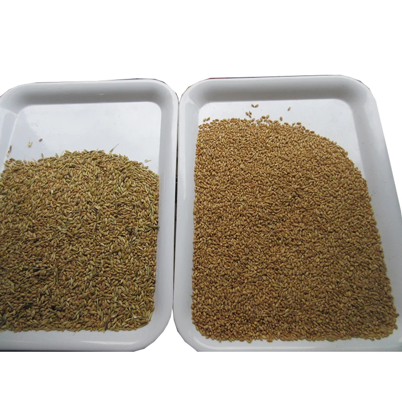 Grain Cleaning And Grading Machine Wheat Germ Separator Machine