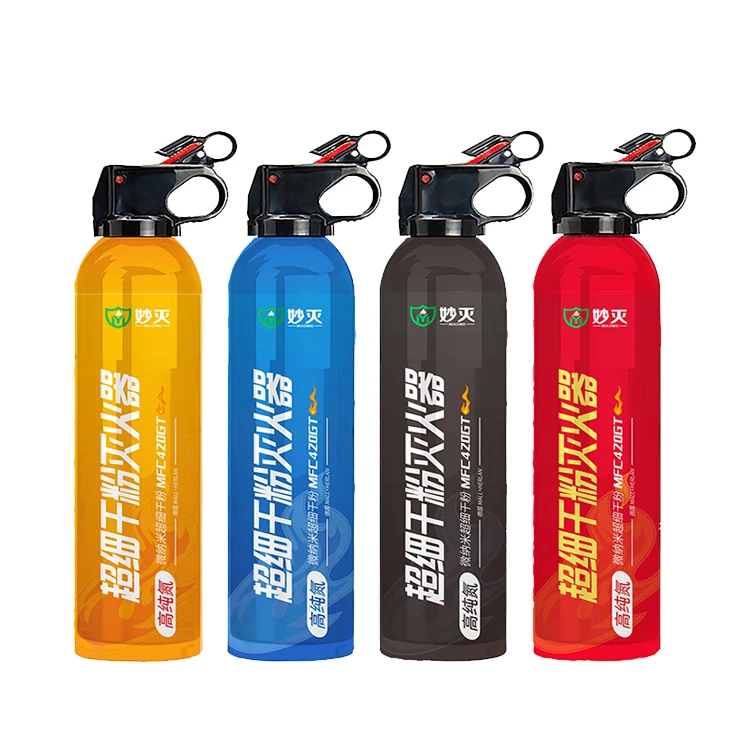 500G dry powder type car mini fire extinguisher