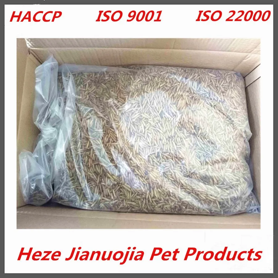 Black Soldier Fly Larvae Aquarium Fish Food