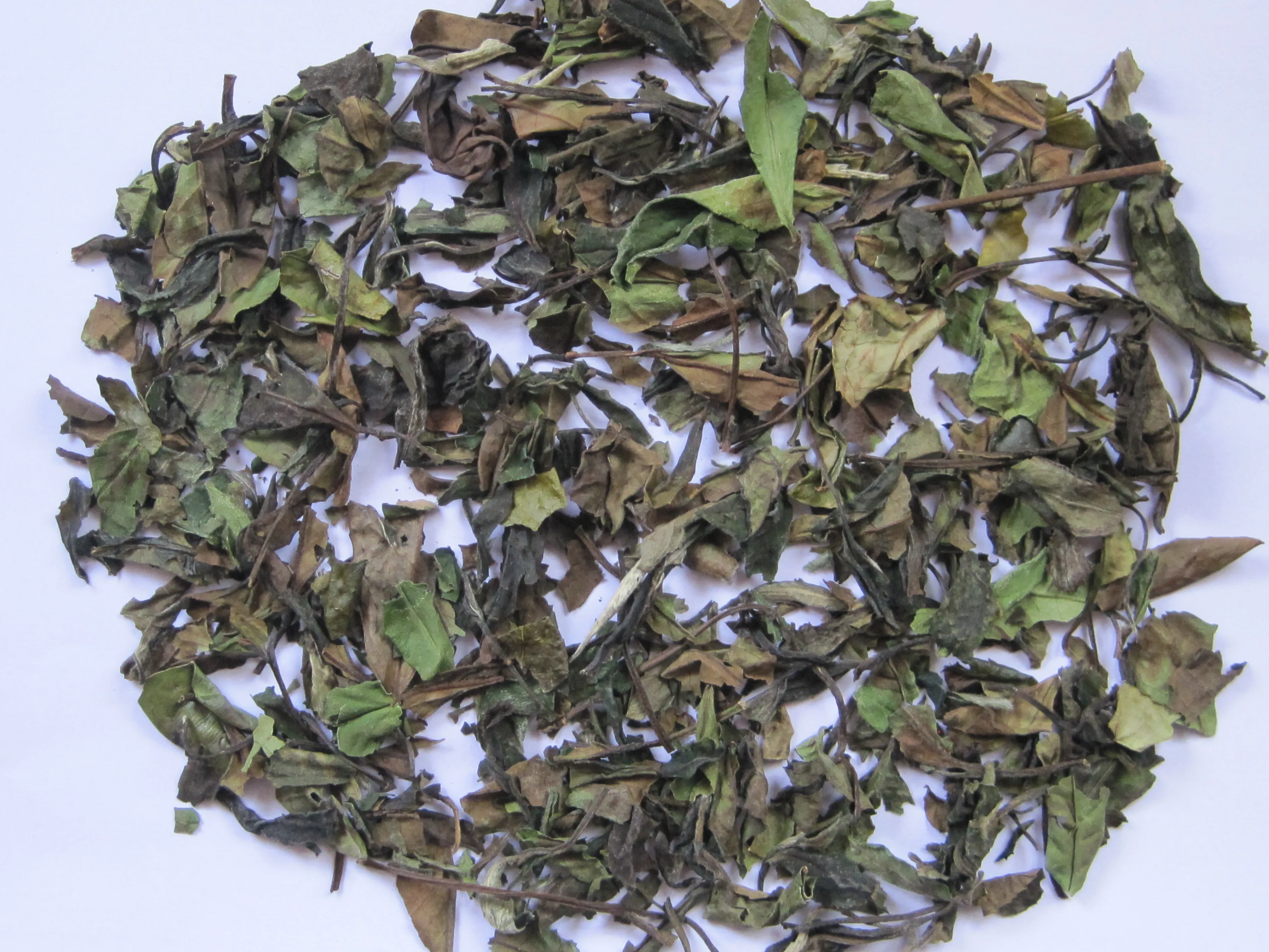 2022 EU certified High Quality White Tea Loose Leaf Pai Mu Tan Bai Mu Dan White Peony Tea
