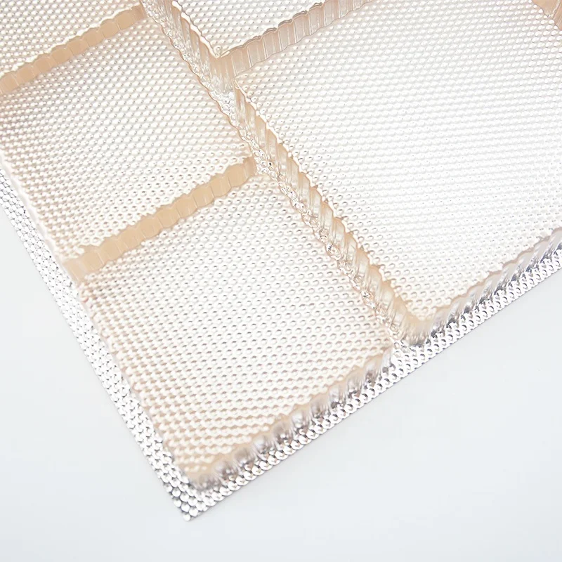 food grade plastic food compartment tray for mooncake