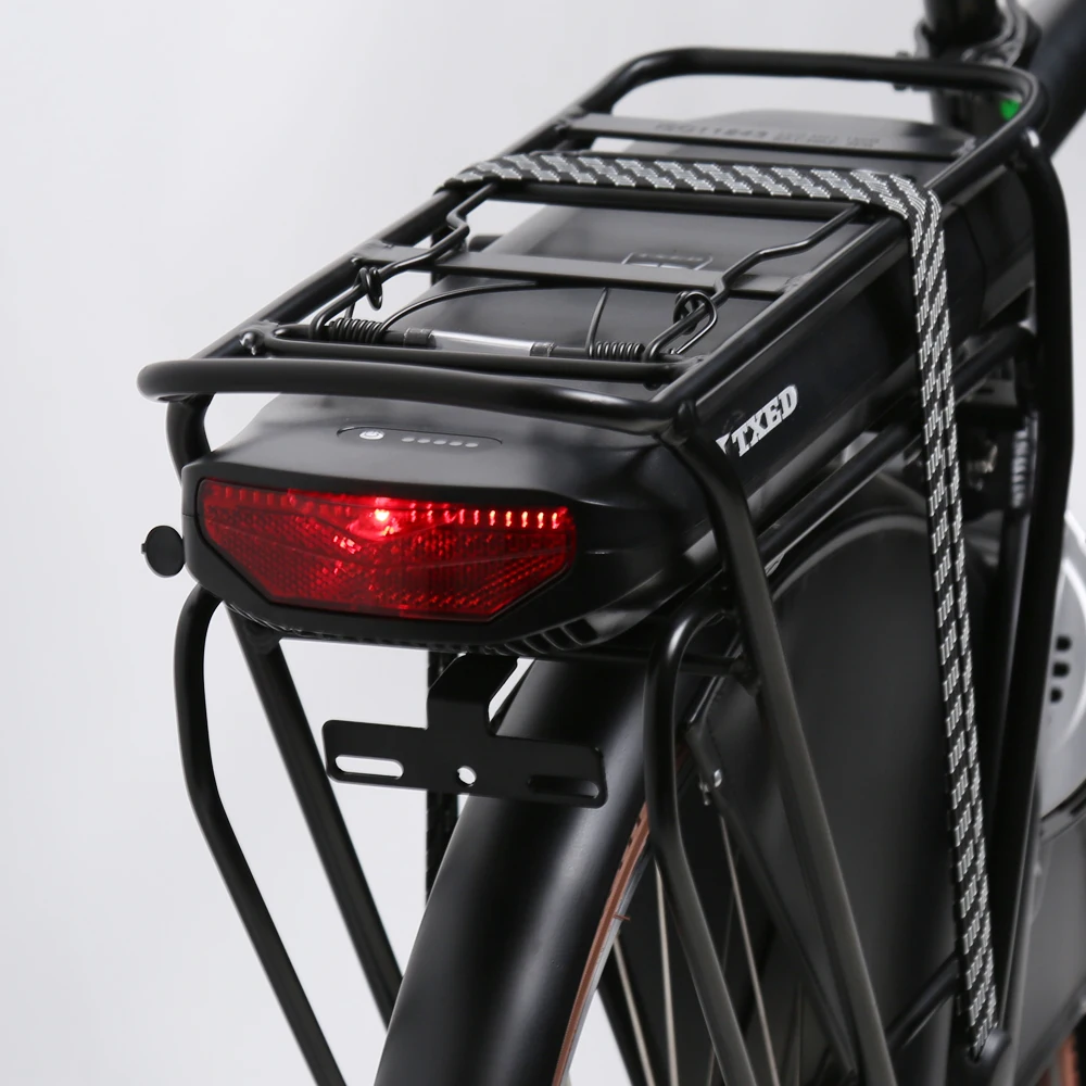 TXED Retro 250W cargo bike 2 wheel city e bicycle for women