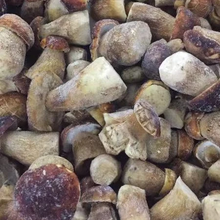 
IQF Porcini Whole with Cheap Price 