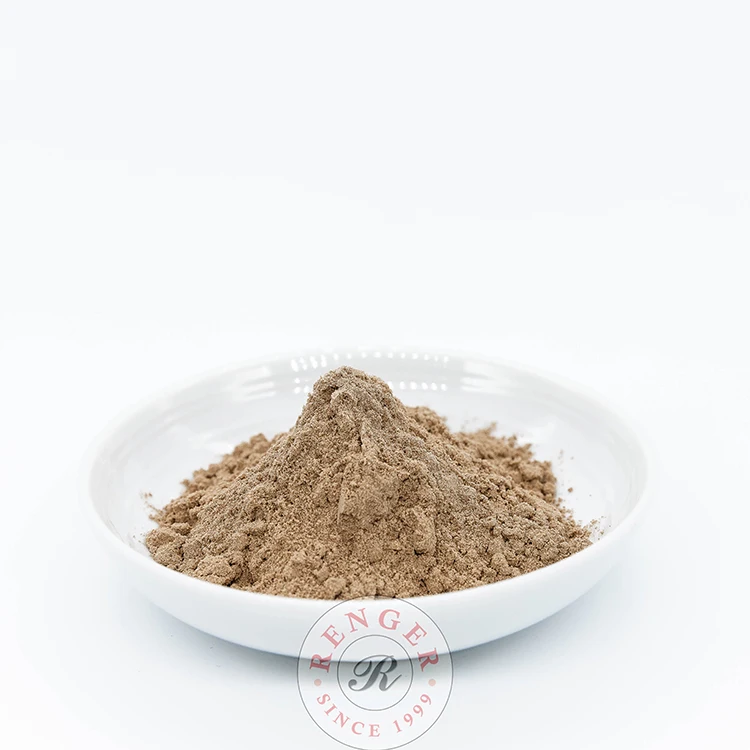 Malaysia Halal Certificated 12 Months Shelf-life Renger Milk Chocolate Flavor Food Additives Milk Chocolate Booster Powder