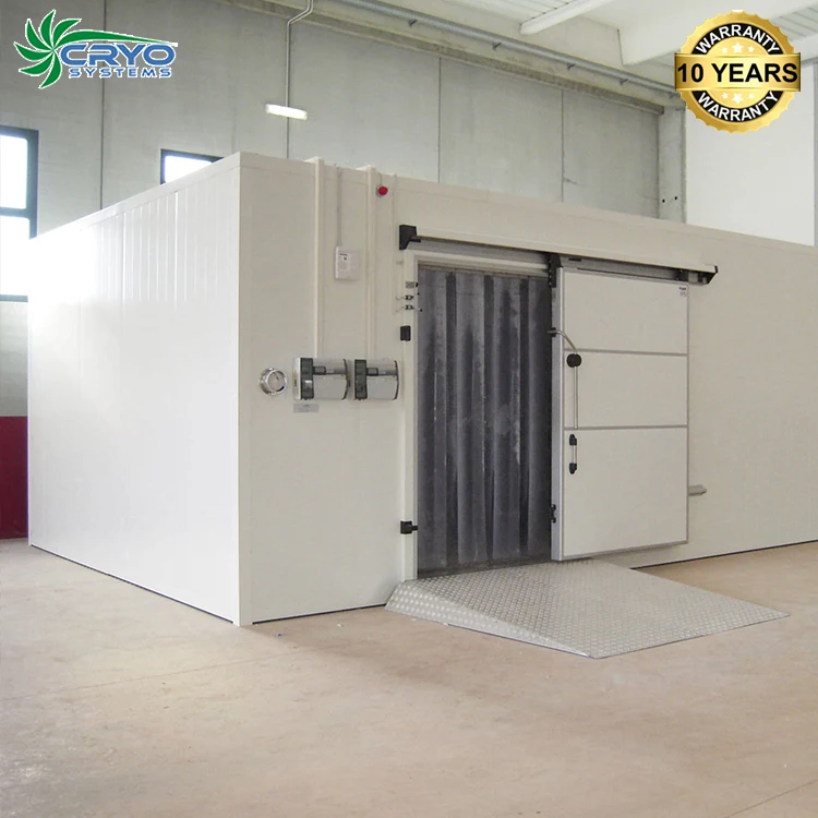 Vegetables Fish Food Quick Shock Freezer Equipment for Black Rose Plants Lobster Frozen Chicken Meat