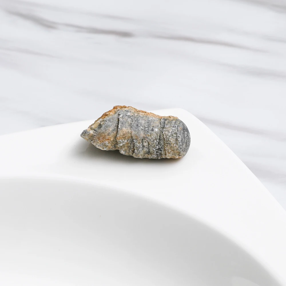 Yase promotional gift box fossil collection kit wholesale fossil collection set kids toys old fossil produce