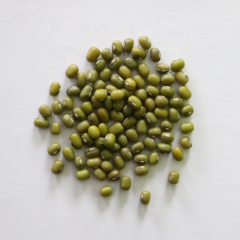 
China New Crop Green Mung Bean For Food Moong Dal 
