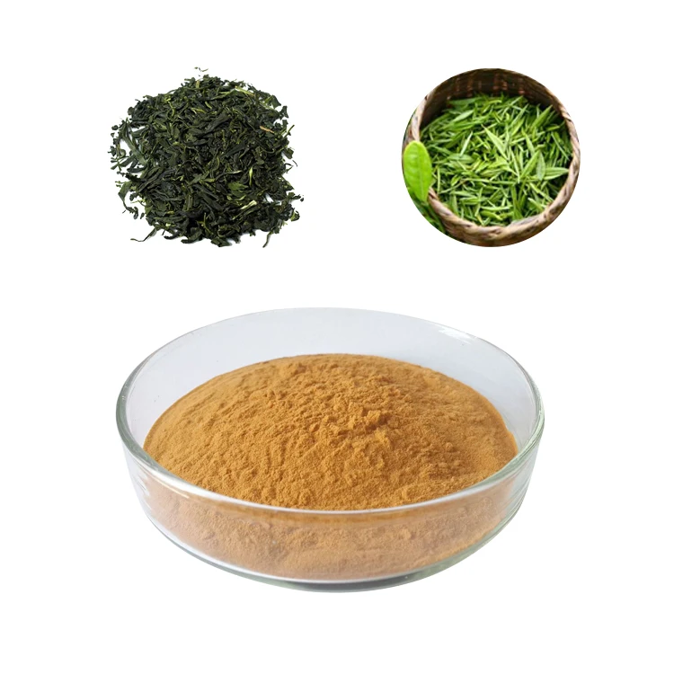 
GMP certified 100% Natural Organic weight loss pharmaceutical grade bulk green tea extract powder 