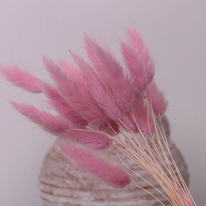 
Dried plants and flowers ornament floral dried tail grass dried flower 