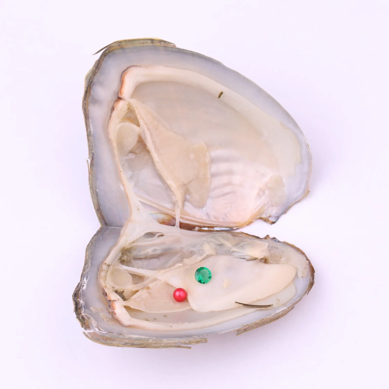 AAA+ grade 3-4mm Mini Natural pearl with 4mm gemstones in Freshwater Oyster Shells