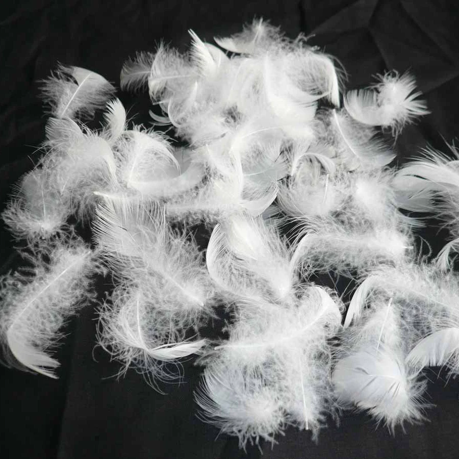 
Washed White Goose Feather 2-4cm Cushion Pillow Filling Material Cheaper Price 