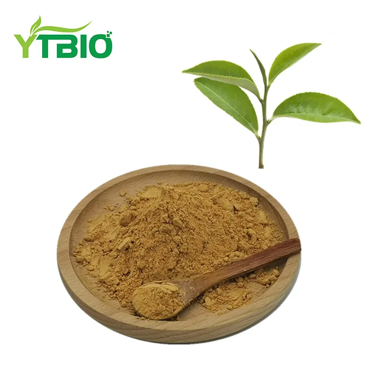 
Tea Seed Saponin Powder / Camellia Japonica Extract 