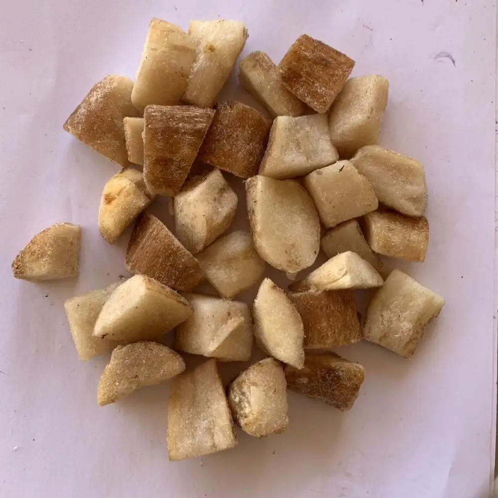Frozen boletus edulis cubes A grade from China supplier