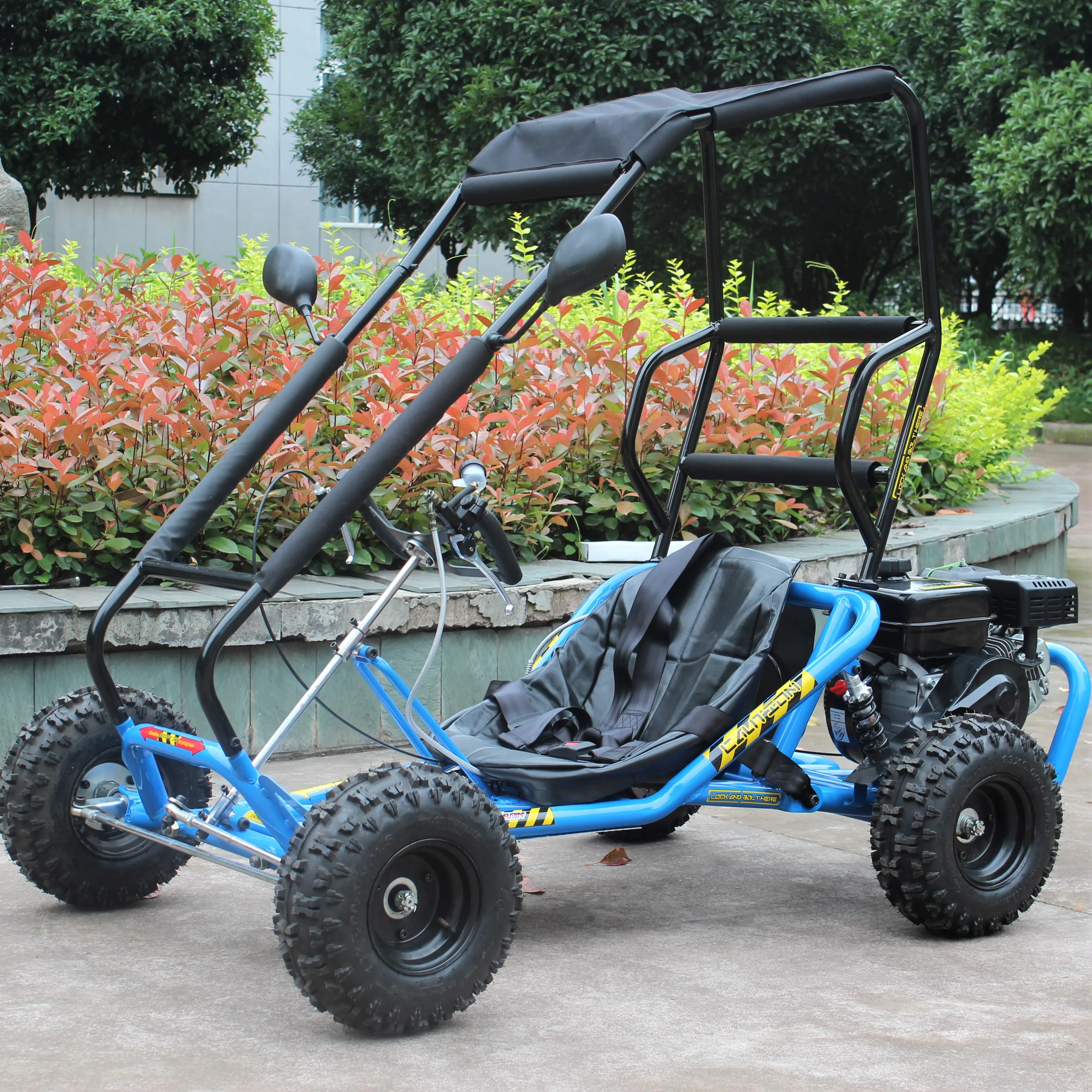 Gas Powered 196CC Mini Go Kart Dune Buggy with roller cave for sale