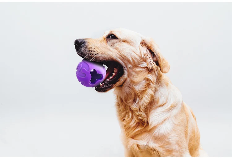 Interactive Dog Toy Indestructible Dog Ball for Small and Medium Dogs