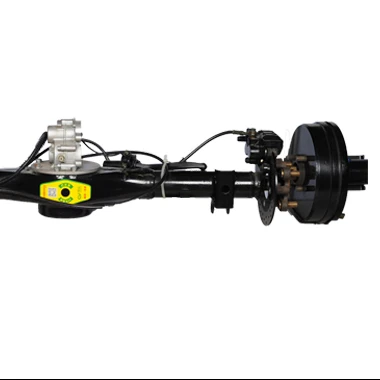 
 CY Электрический трехколесный Автомобильный задний мост дифференциала/заднего моста  
