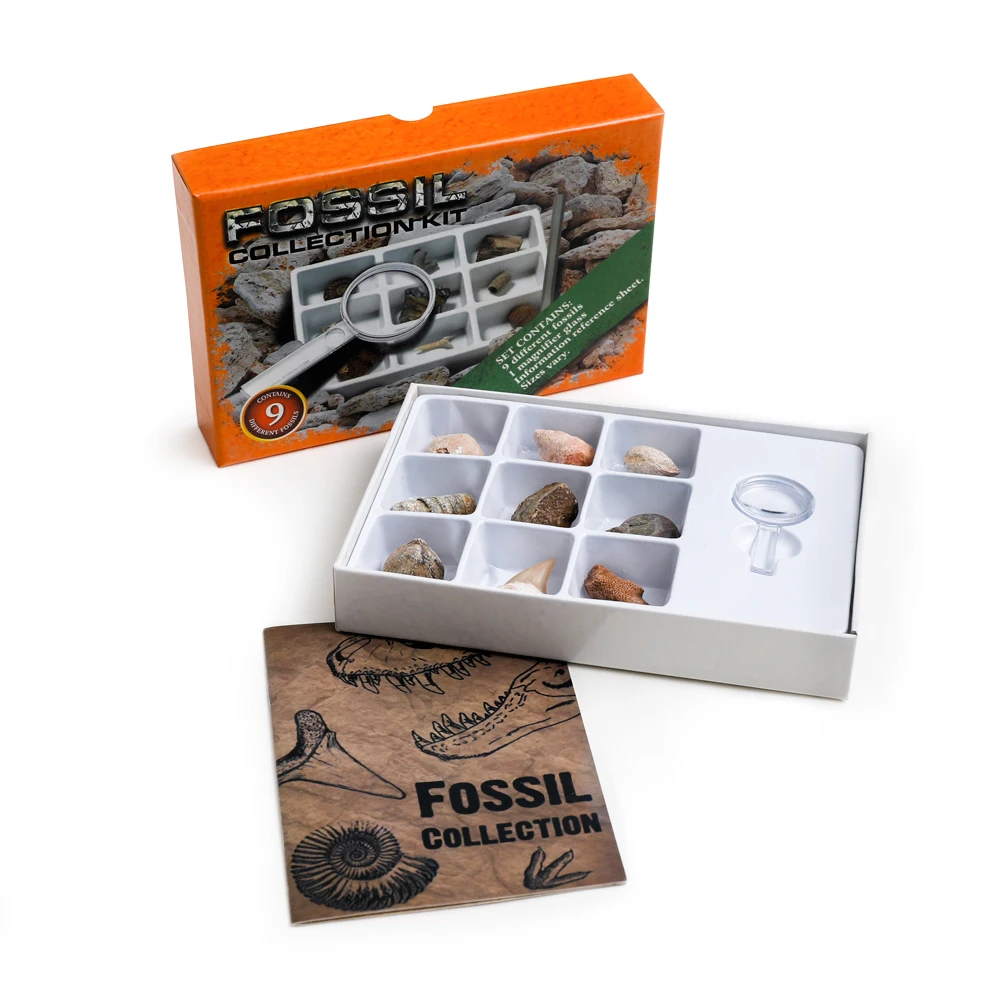 Yase promotional gift box fossil collection kit wholesale fossil collection set kids toys old fossil produce