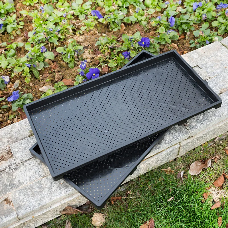 600*300*35mm Plastic Tray With Holes Rice Seeding Tray Wholesale Manufacturer