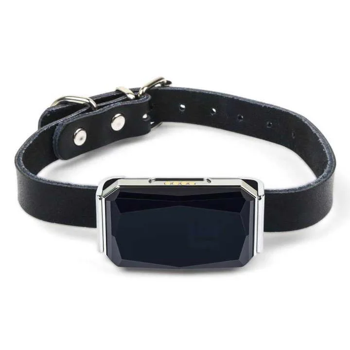 Pet products Waterproof IP66 puppy mini diamond shape tracking anti lost gps dog collar for dog