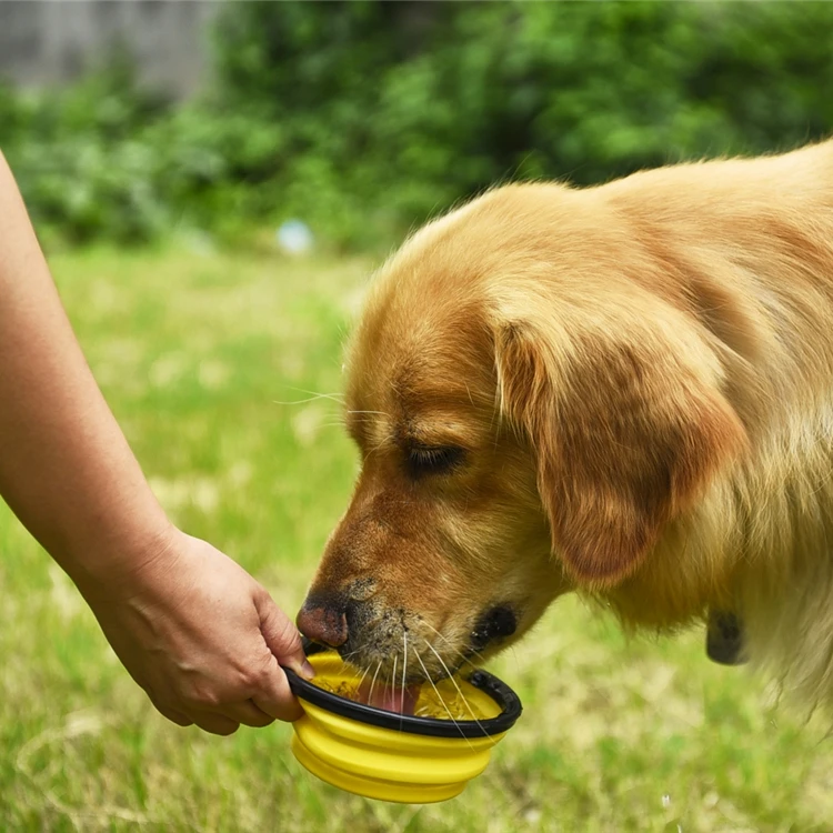 
Collapsible Pet Cat Dog Food Feeding Water Bowl Expandable Cup Dish Foldable Portable Travel Dog Bowl 