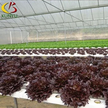 soilless culture Greenhouse Vertical hydroponic growing systems for lettuce