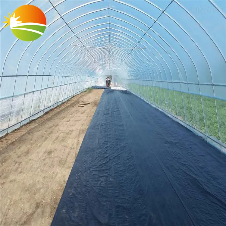 
Hot Sale 300m Greenhouse Film Fasten Band Film Tension Rope 
