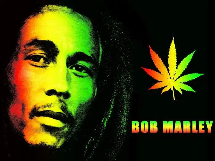 
3d plastic posters lenticular printing of Bob Marley 