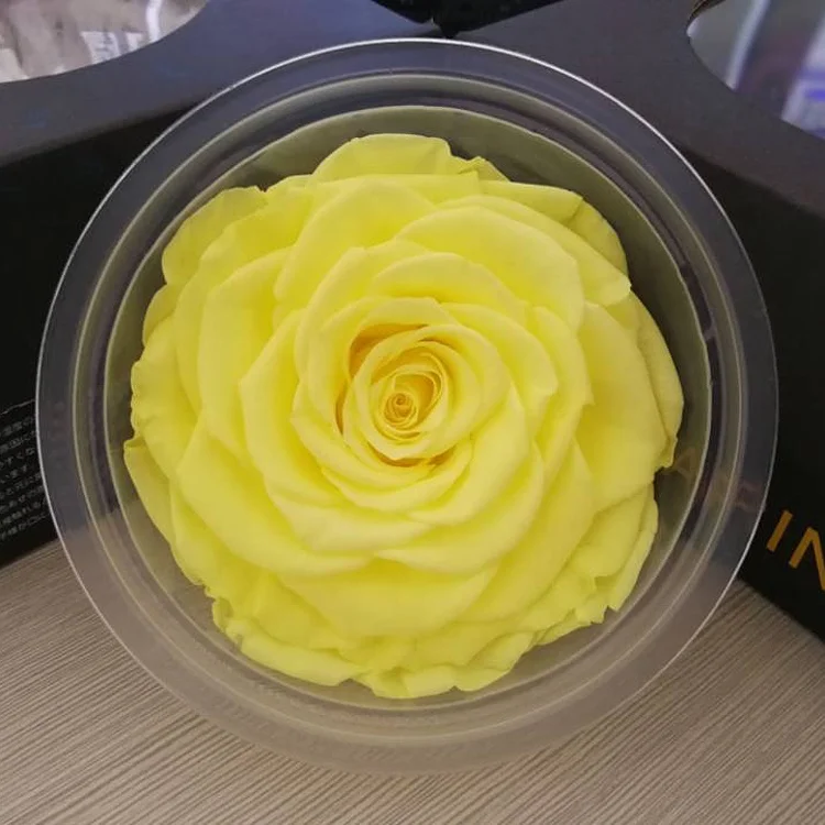 Best Price 9-10cm White Fresh Rose Head Eternal Flower In Box For Wedding Gifts For Guests