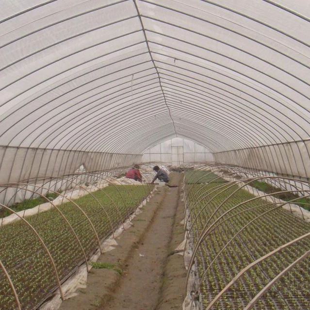 single span tunnel  greenhouse with plastic film covering