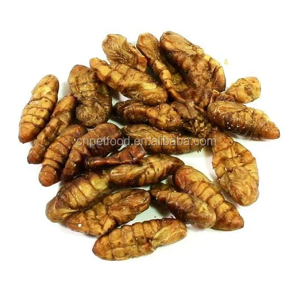 Dried Silkworms / Silkworm Pupae