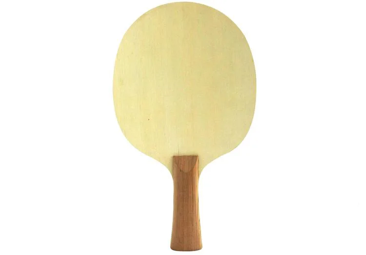 Sanwei T1091AA Hinoki and king of Carbon ping pong blade suitable for advanced level players professional table tennis blade