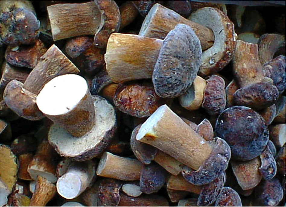 
IQF Porcini Whole with Cheap Price 