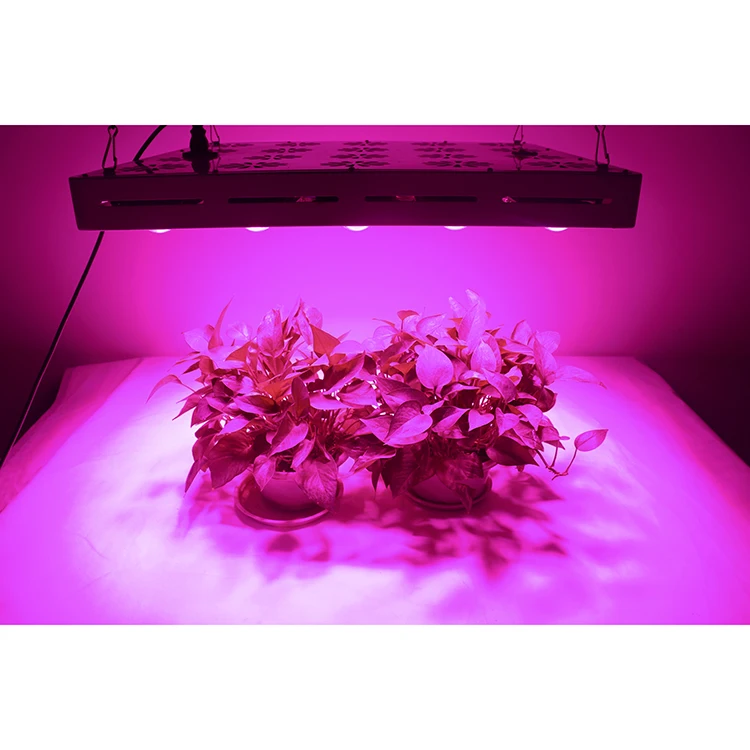 Greenhouse Lighting Commercial Optic Full Spectrum LED Plant Grow Light 1000W